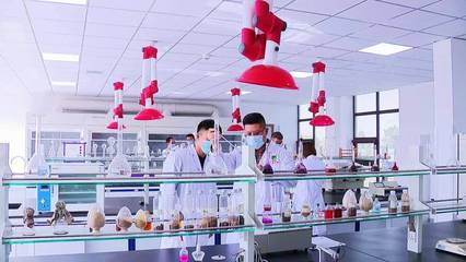以十九屆六中全會精神為指引，加快推進科技創新，提升核心競爭力——聚焦生物飼料研發