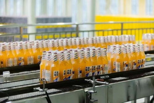 供應(yīng)鏈支撐,大窯飲品劍指全國(guó)市場(chǎng)