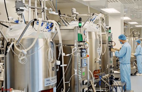 首次提出,即占據c位