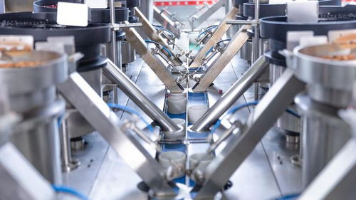 走進(jìn)洽洽透明工廠,探訪一顆堅(jiān)果蘊(yùn)藏的新質(zhì)生產(chǎn)力