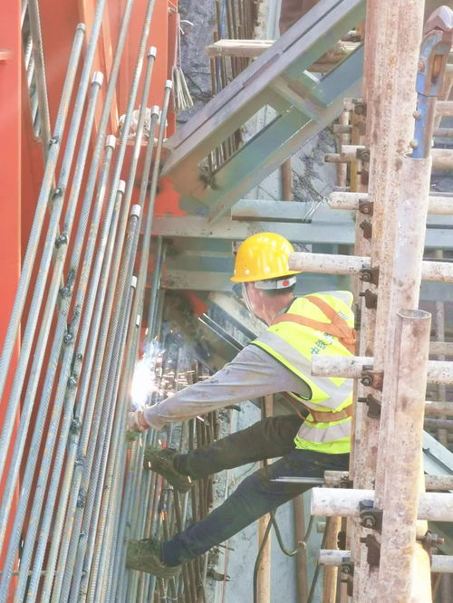 圖看交通 搶抓春光忙生產(chǎn)