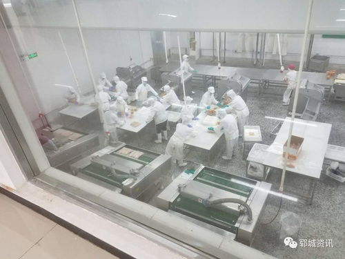 紅盾護企 食品生產科在行動，保障電熔鎂生產安全